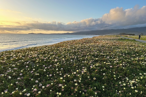 Perto da praia, toalhas de praia