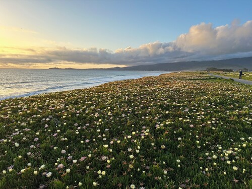 Coastal Comfort with Short Walk to Bluffs and Beach