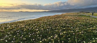 Confort côtier avec une courte promenade vers les falaises et la plage