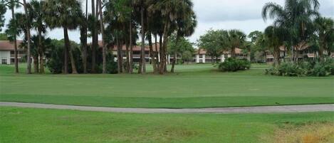 A golf course with a well-maintained lawn, tall palm trees, and a building complex in the background.