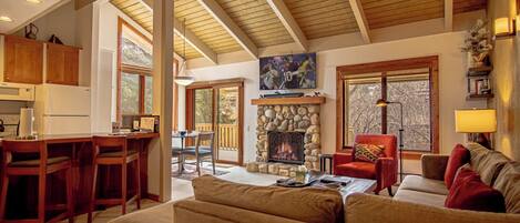 TV, fireplace, ping pong, books