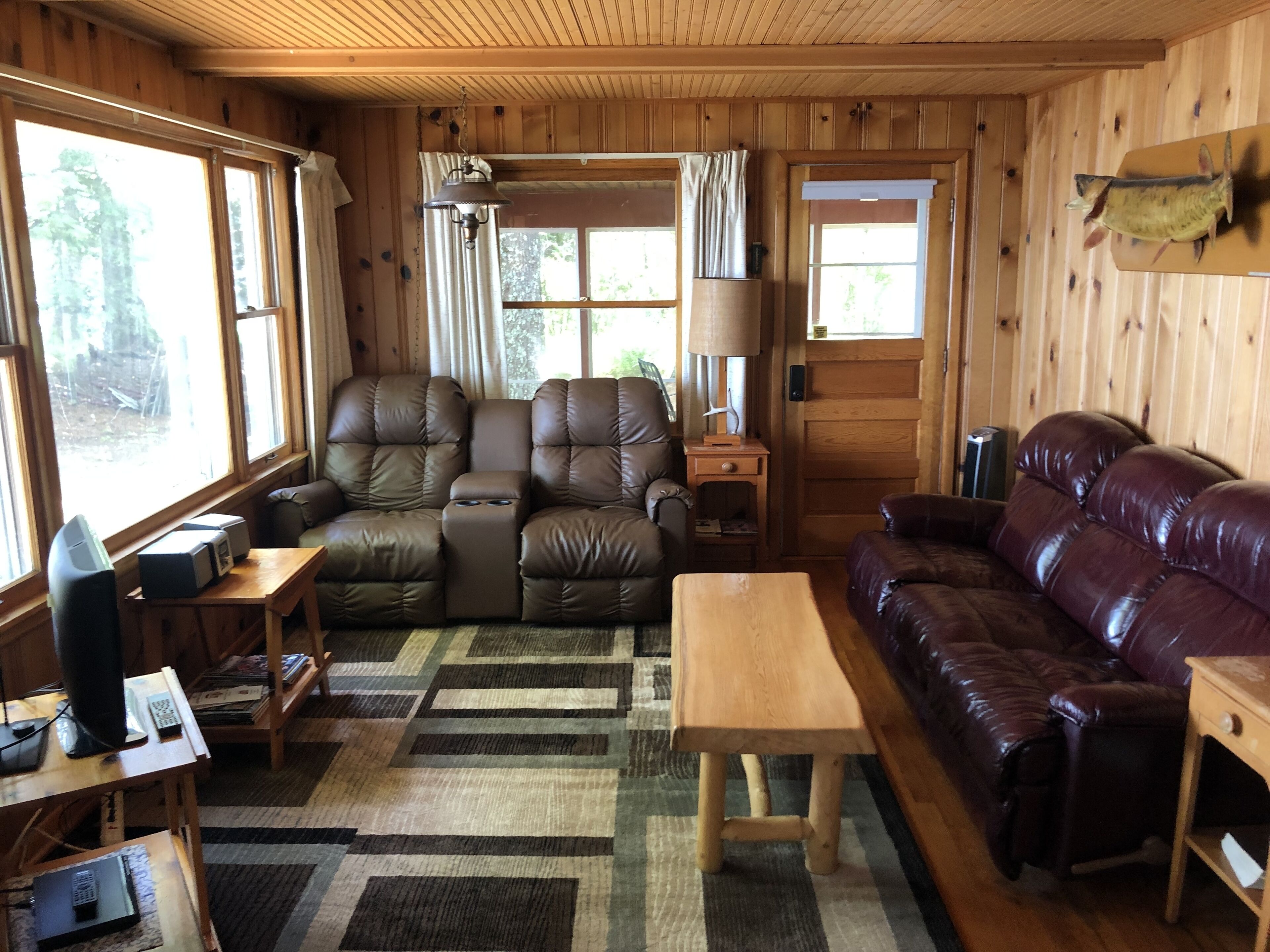 电视、壁炉、DVD 播放器