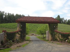 This is the stone entrance to the vineyards.