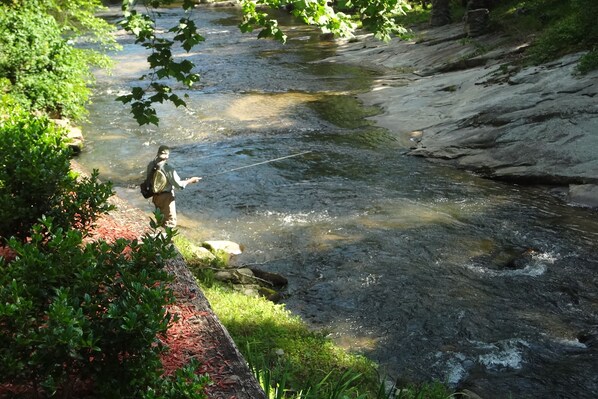 A person fishing by a clear stream surrounded by greenery. - Aspen Suite: Cozy NC Mountain & Riverside Cabin Suite @ Roaring River Vineyards (Traphill)