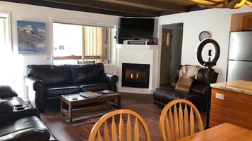 Smart TV, fireplace, DVD player, books