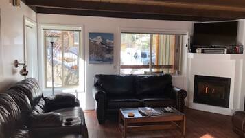 Smart TV, fireplace, DVD player, books