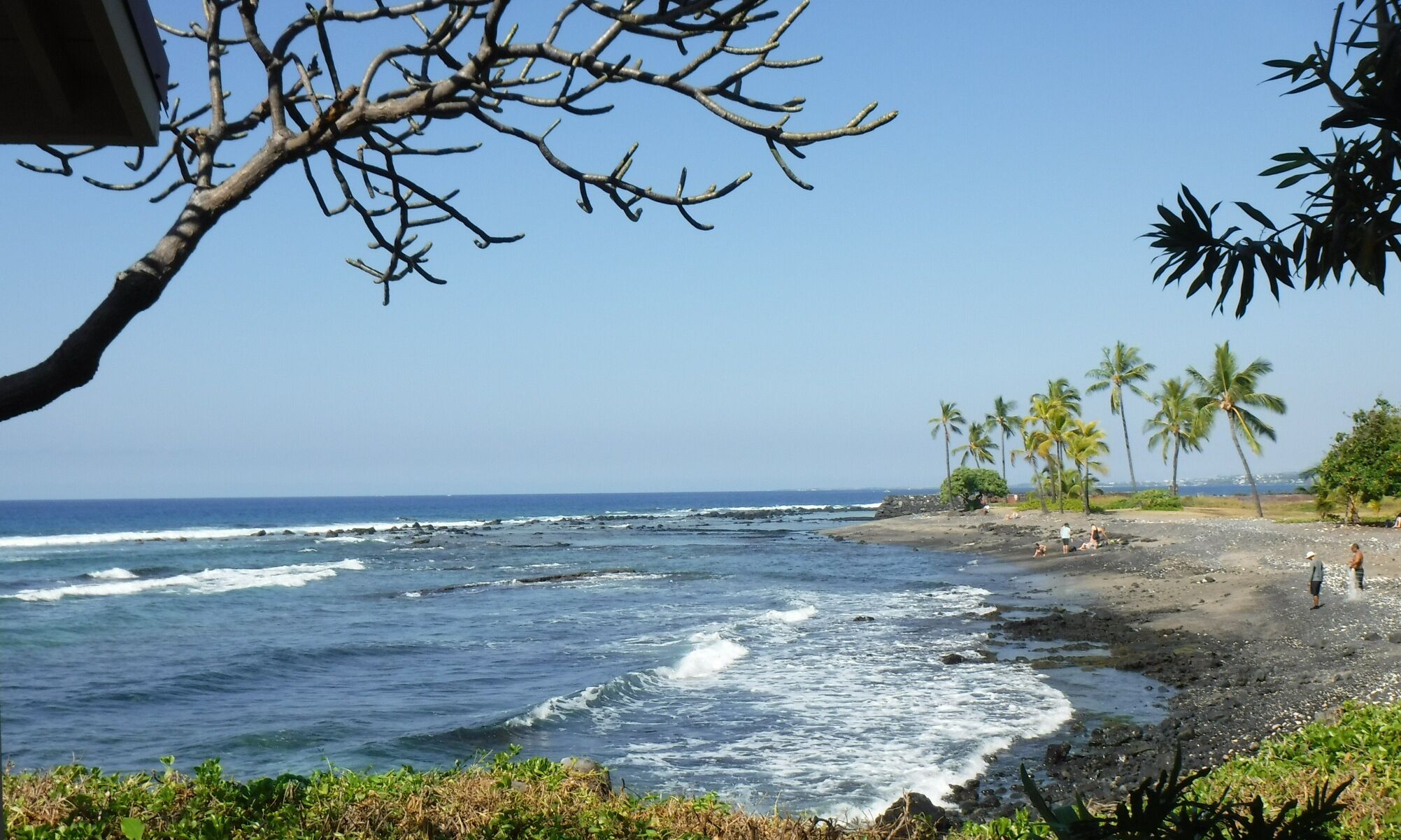 A beach with waves, palm trees, and a clear sky.