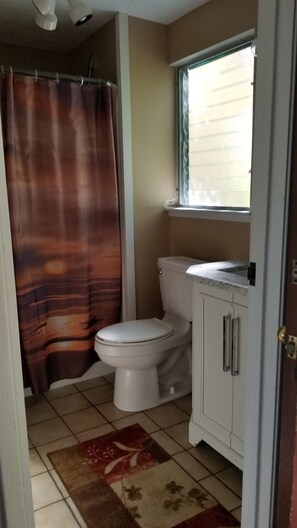 Bathtub, hair dryer, towels, soap