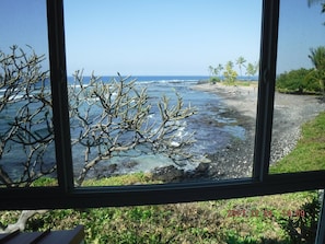 Une vue sur la côte, aperçue à travers une fenêtre, avec des branches nues au premier plan, une côte rocheuse et des palmiers en arrière-plan.