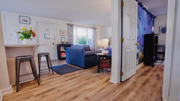 Smart TV, fireplace, DVD player, books