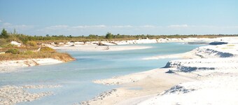 5 STAR, Pet Friendly, Sunny, Private Old Florida Charm Cottage and Mins to Beach