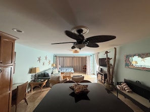 Smart TV, DVD player, books, video library