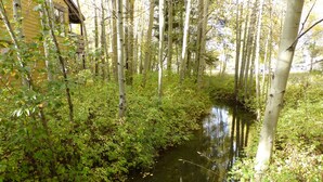 A narrow water channel surrounded by dense greenery and trees. - Superb Upgraded 1 BR/BA King Bed End Unit in the Newest Building in The Aspens! (Wilson)