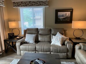 TV, fireplace, DVD player, books