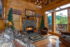 TV, fireplace, DVD player