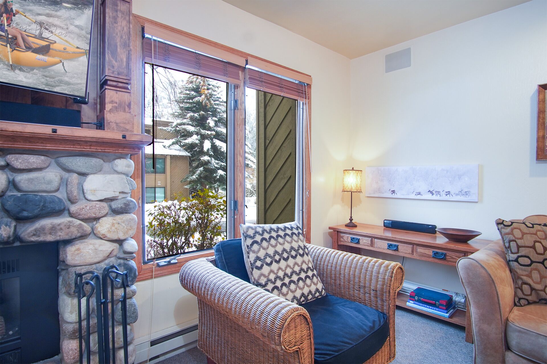 TV, fireplace, table tennis, books