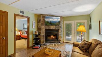 Smart TV, fireplace, books