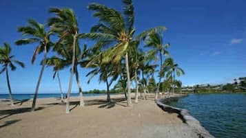 Sun-loungers, beach towels