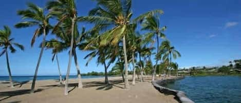 Sun-loungers, beach towels