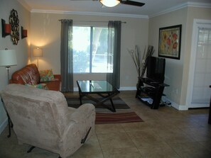 Televisión, reproductor de DVD y libros 