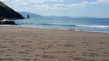在海滩
