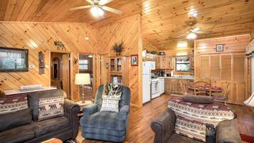 Fireplace, DVD player, table tennis