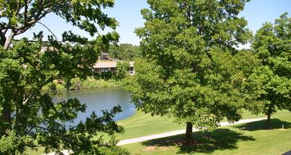 Walk In Level - Beautiful/Clean/Recently Remodeled 1BD/1BA at Pointe Royale
