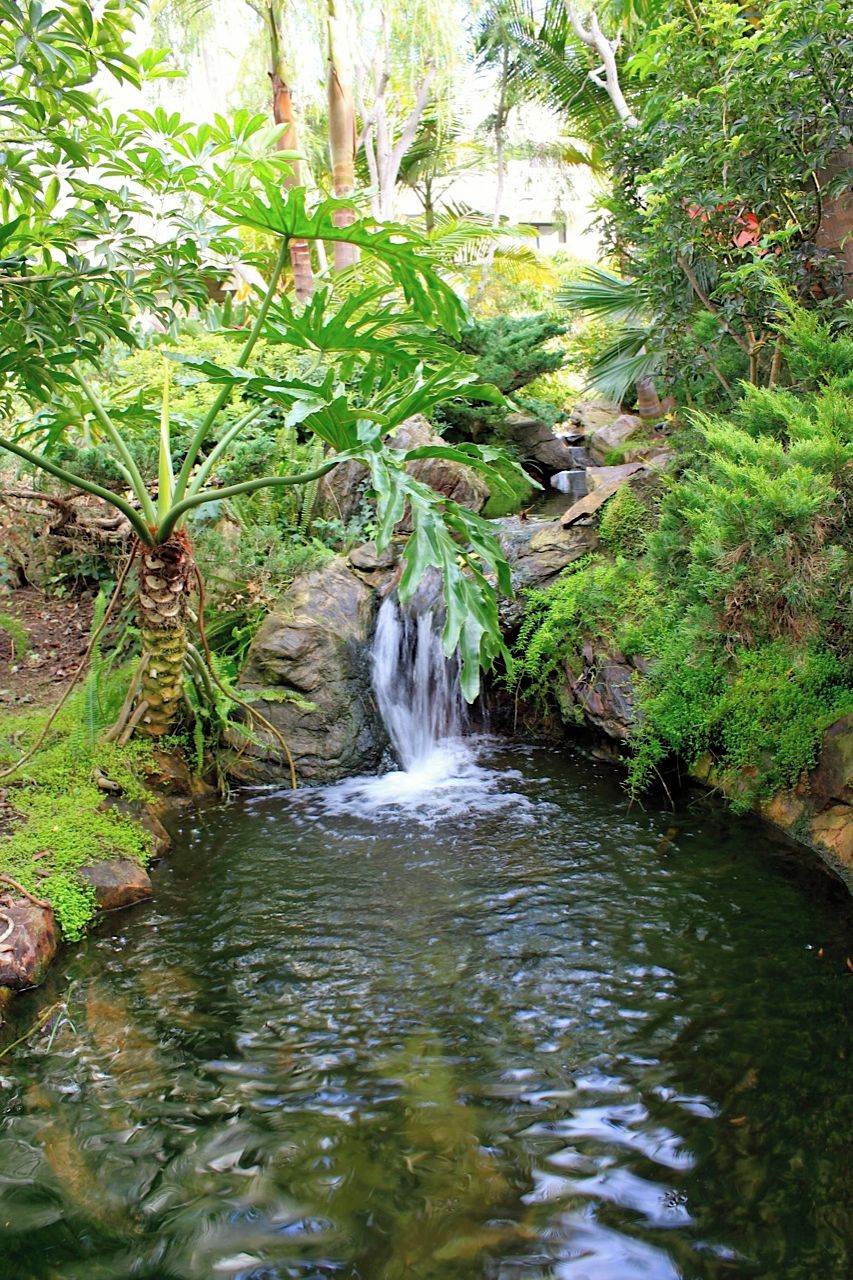 A small waterfall in a lush garden with dense foliage and rocks.
