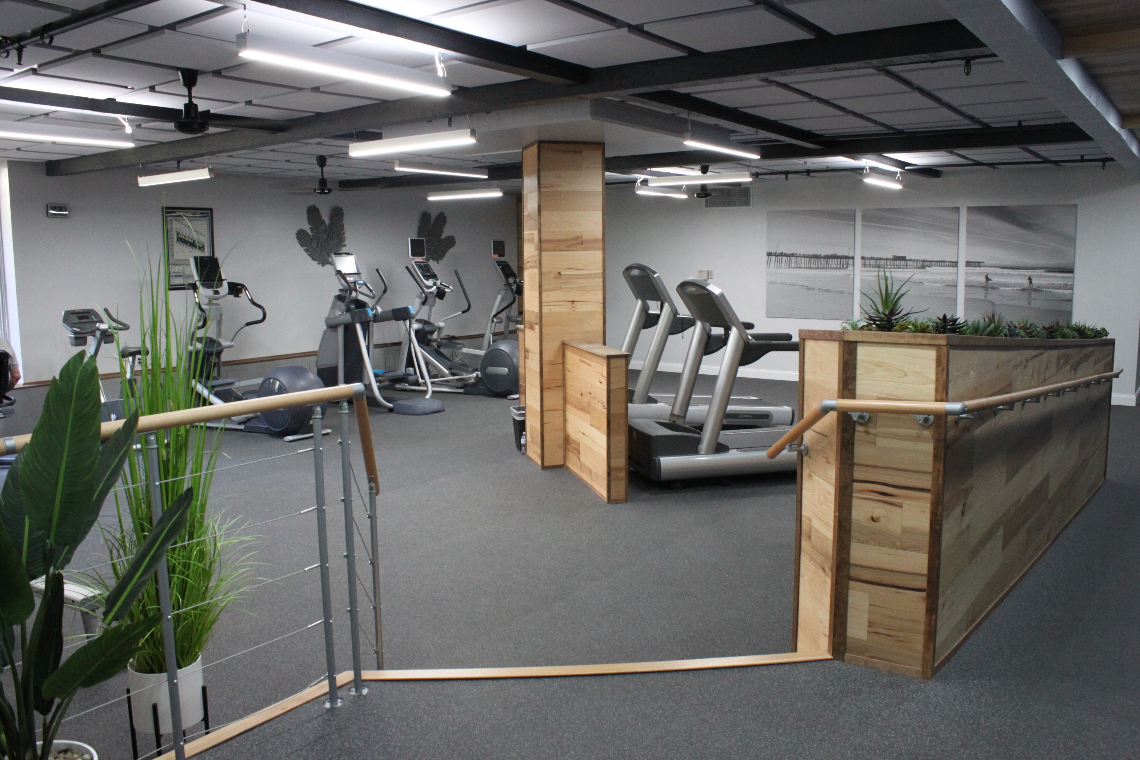 A gym with stationary bikes, treadmills, and a wooden planter with plants.