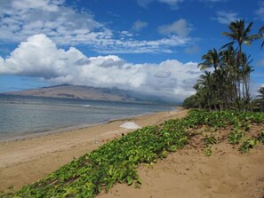 Beach nearby, sun loungers, beach towels