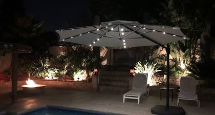 Tropical Hawaiian theme Family Resort 🌴⛳️🐾🐾🏊♀️🎱 🎯 🔥🤗