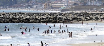 Charming & Private Santa Cruz Cottage 3 Blocks from the Beach