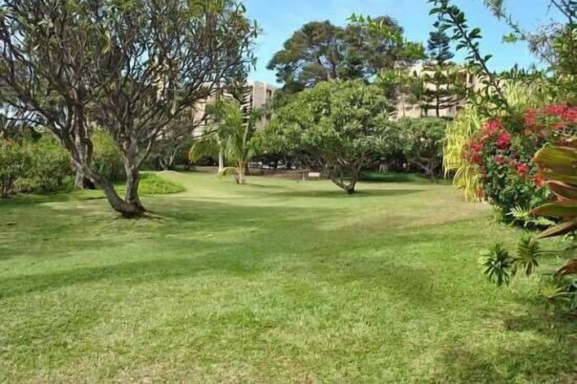 Un jardin bien entretenu, agrémenté de divers arbres et arbustes, avec un chemin bien défini et un bâtiment visible au loin.