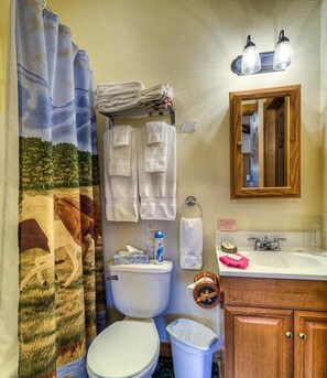 Combined shower/bathtub, hair dryer, towels, soap