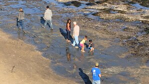 Un grup de persones caminant sobre una platja rocosa amb aigua cristal·lina.