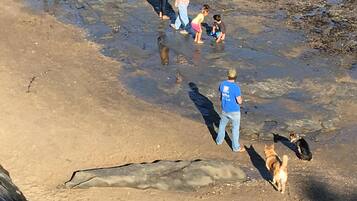 Playa en los alrededores