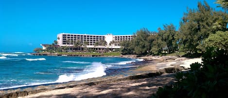 On the beach, sun-loungers, beach towels