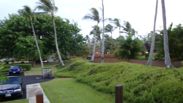 A residential area with palm trees, a car parked on the street, and a wooden fence.
