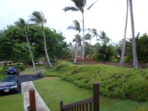 Property grounds - PARADISE IN TURTLE BAY Family Beach Getaway -WIFI Safe Travel CXL Ok! STR #1791 (Kahuku)