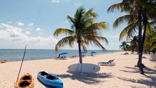 Una playa con kayaks, una palmera y sillas de playa.