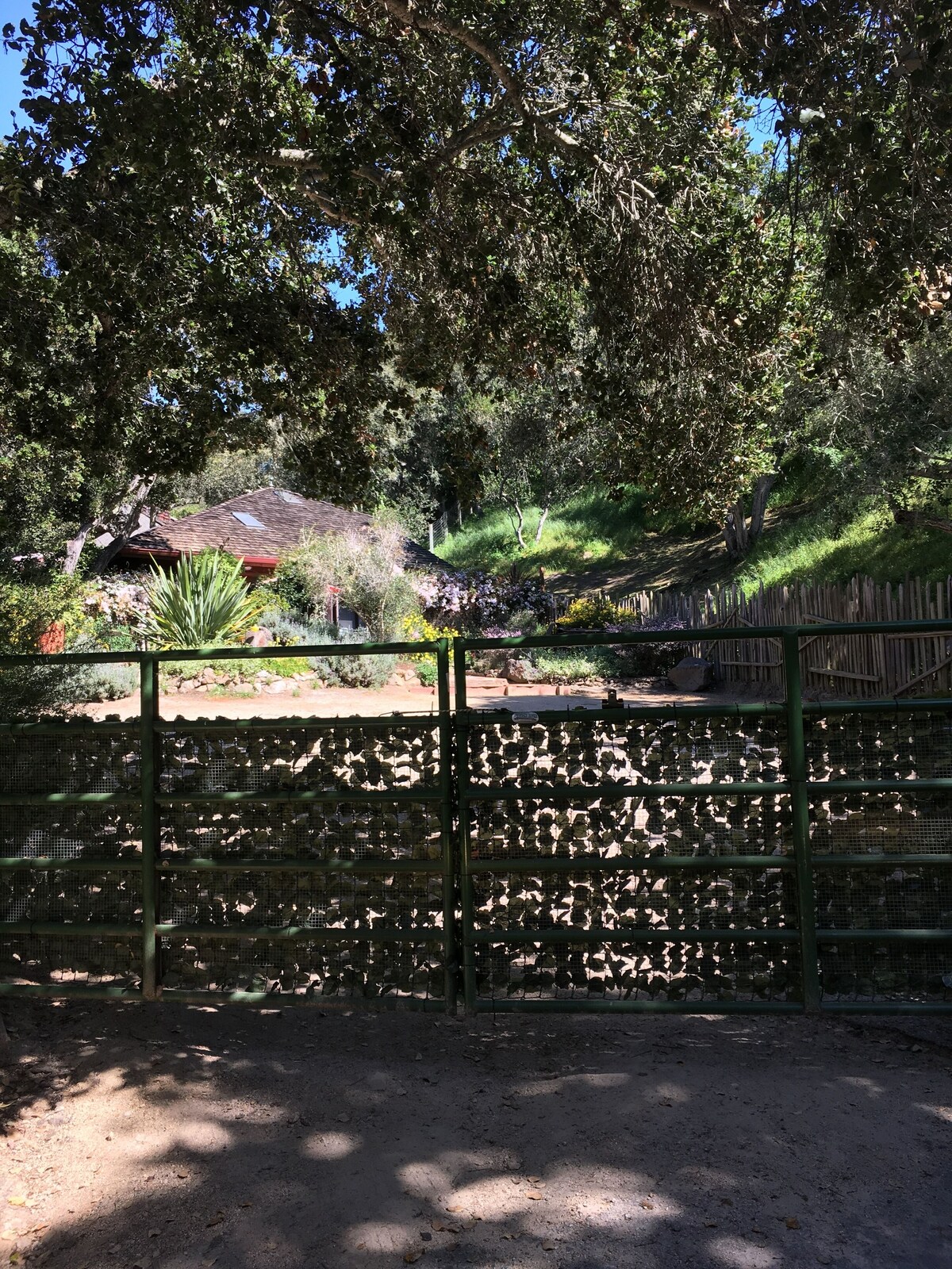 Imagen de perfil del propietario o de la propietaria