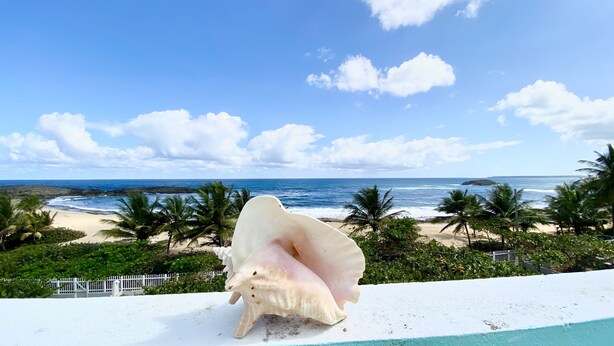 Una caracola grande sobre una superficie blanca, con una playa y el océano al fondo.