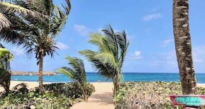 Nur wenige Schritte vom Strand entfernt von Playa Mar Chiquita in einem Naturschutzgebiet.