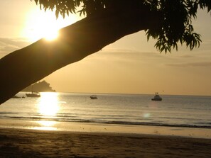 Uma praia com barcos na água e uma árvore em primeiro plano.