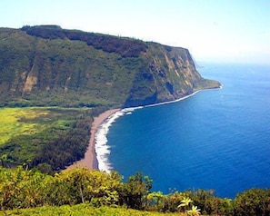 Sun loungers, beach towels