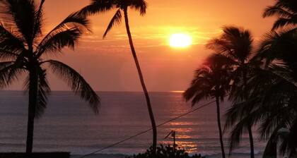 MAUI OCEAN VIEW 2 bed 2 bath with Air Conditioning