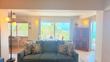 Smart TV, DVD player, books, video library