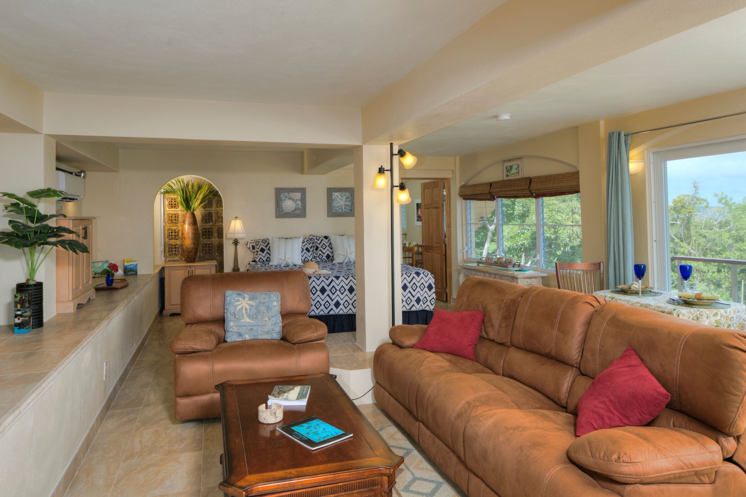 Älytelevisio, DVD-soitin, kirjoja, videokirjasto