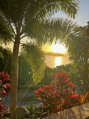 Property grounds - Couples Retreat, Sweeping VIEWS, Kayaks Await at the Beach! (St. John)