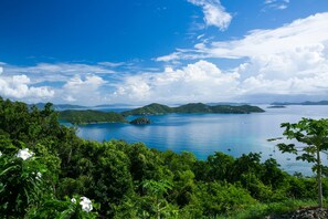 Unclassified image, 4 of 23, button - Couples Retreat, Sweeping VIEWS, Kayaks Await at the Beach! (St. John)